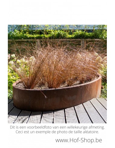 Ellipse 120 x 80 x 40 cm - Jardinière Adezz en acier corten