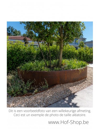 Ellipse 120 x 80 x 40 cm - Jardinière Adezz en acier corten