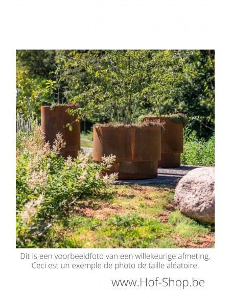 Extend 100 x 75 cm - Jardinière Adezz en acier Corten