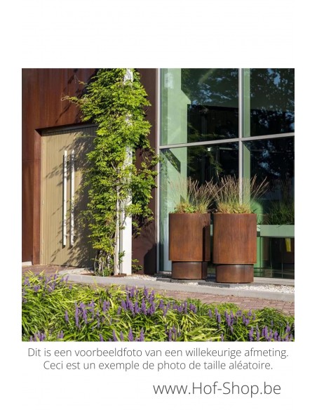 Extend 100 x 75 cm - Adezz Plantenbak in cortenstaal