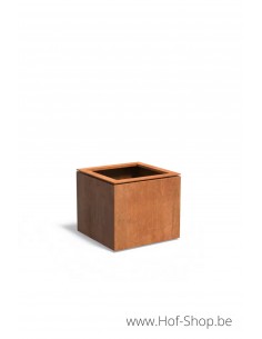 Domus 70 x 70 x 60 cm - Adezz Plantenbak in cortenstaal