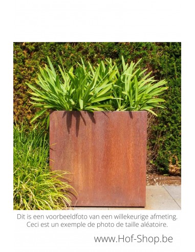 Carrez 300 x 100 x 80 cm - Adezz Plantenbak in cortenstaal