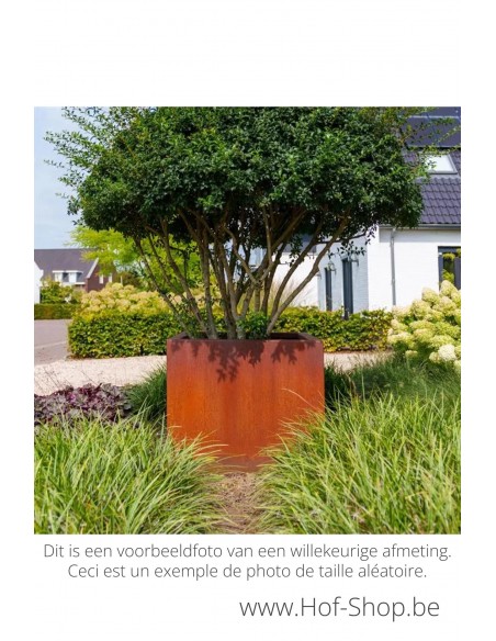 Carrez 300 x 100 x 60 cm - Adezz Plantenbak in cortenstaal