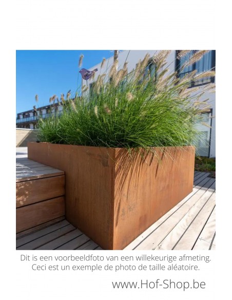Carrez 300 x 50 x 50 cm - Adezz Plantenbak in cortenstaal