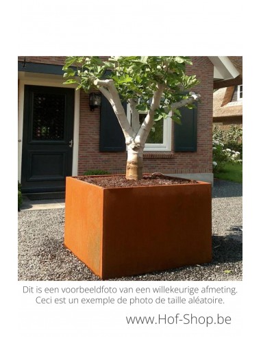 Carrez 300 x 40 x 40 cm - Adezz Plantenbak in cortenstaal