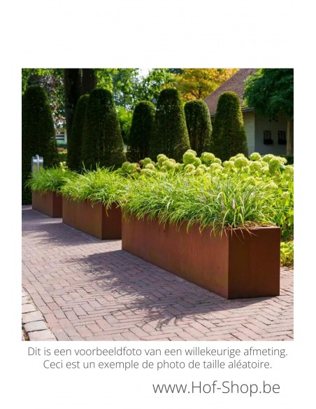 Carrez 300 x 40 x 40 cm - Jardinière Adezz en acier Corten