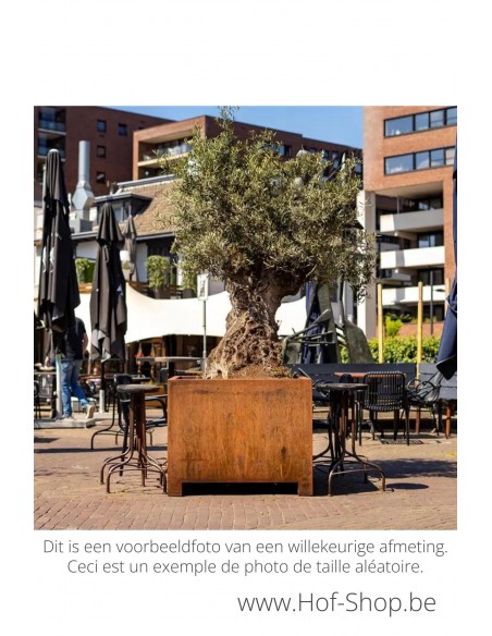 Carrez met poten 150 x 40 x 80 cm - Adezz Plantenbak in cortenstaal