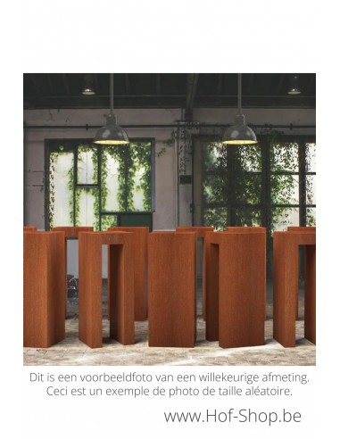 Sokkel Pedestal 300 x 40 x 40 - zuil in cortenstaal