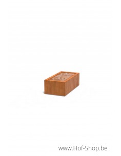 Watertafel 120 x 60 x 40 cm - Watertafel Adezz cortenstaal
