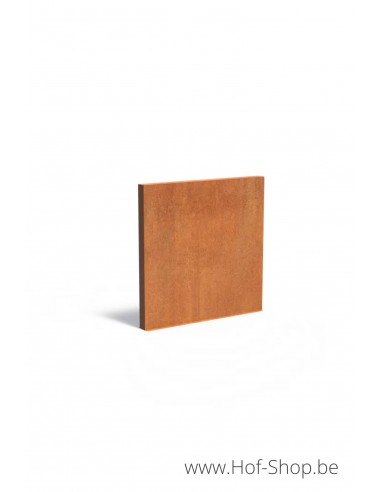 Mur 200 x 15 x 200 cm - Mur Adezz en acier corten