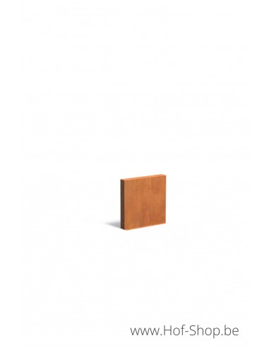 Mur 100 x 15 x 100 cm - Mur Adezz en acier corten