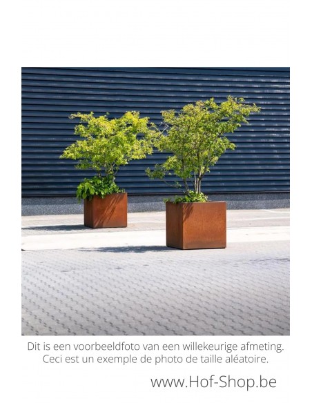Carrez met wielen 150 x 50 x 50 cm - Adezz Plantenbak in cortenstaal