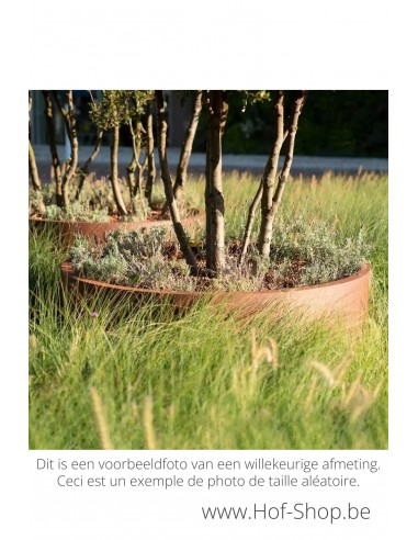 Circum zonder bodem 150 x 60 cm - Adezz Plantenbak in cortenstaal