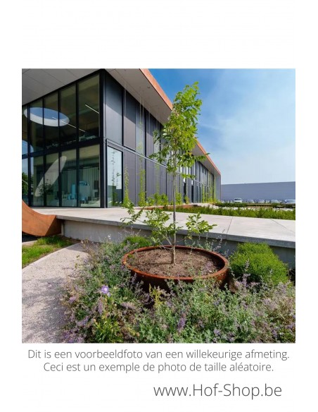 Circum zonder bodem 120 x 60 cm - Adezz Plantenbak in cortenstaal