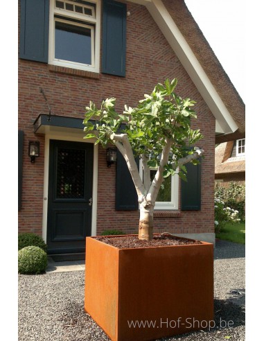 Andes - Plantenbak in cortenstaal
