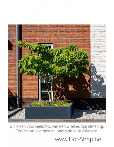 Carrez 80 x 40 x 40 cm - Adezz Plantenbak in polyester