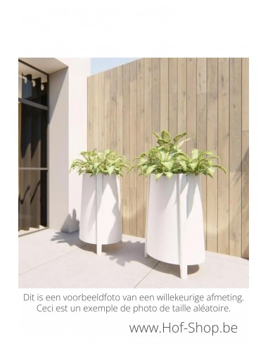 Botan 50 x 120 cm - Jardinière Adezz en aluminium