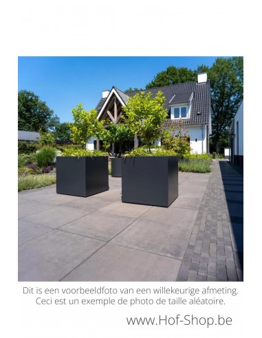 Carrez 300 x 100 x 80 cm - Adezz Plantenbak in aluminium