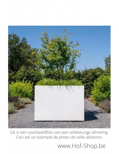 Carrez 300 x 100 x 80 cm - Adezz Plantenbak in aluminium