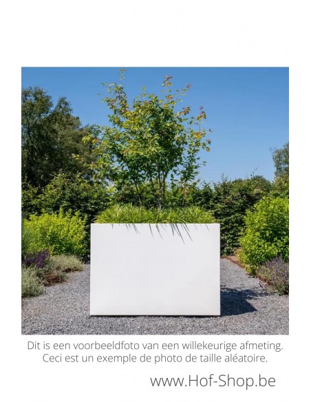 Carrez 300 x 40 x 40 cm - Jardinière Adezz en aluminium