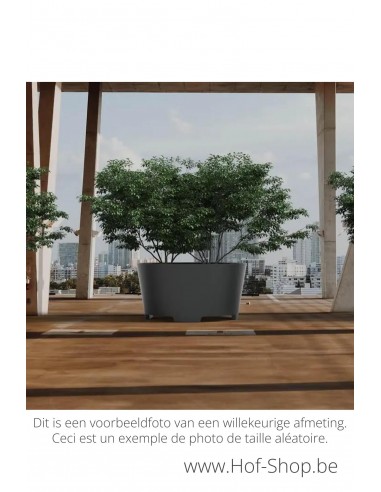 Conic met poten 100 x 80 cm - Adezz Plantenbak in aluminium
