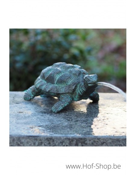 Tortue - statue en bronze (BS1157V-F)