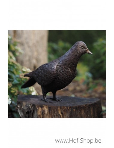 pigeon - statue en bronze (AN1288BR-B-1)