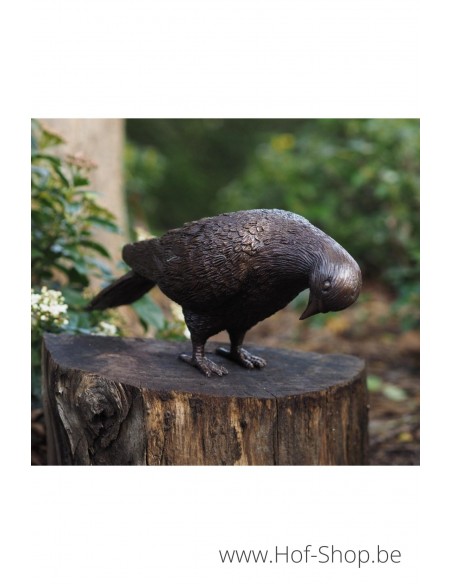 Pigeon avec la tête baissée - statue en bronze (AN1288BR-B-2)