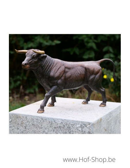 Taureau - statue en bronze (AN1307BR-B)