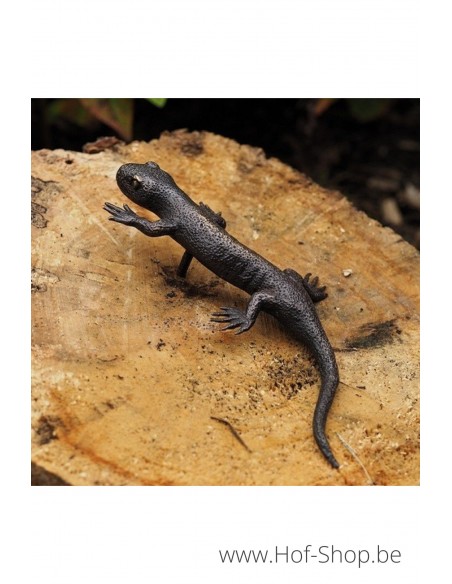Salamander - bronzen beeld (AN1317BR-B)