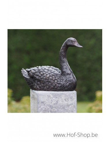 Cygne - statue en bronze (AN1343BR-B)