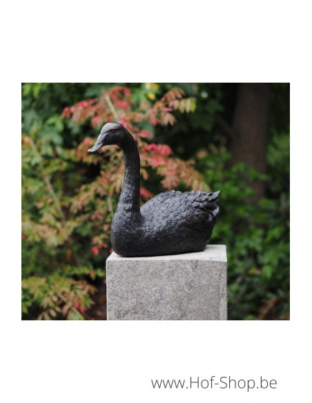 Cygne grande - statue en bronze (AN1344BR-B)