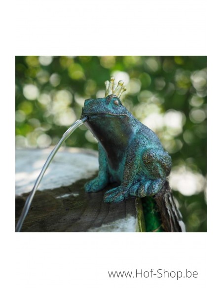 Kikker - bronzen beeld (AN1382BR-V-F)