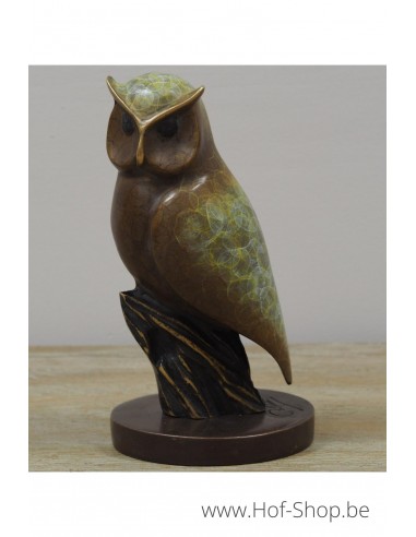 Hibou de patine spéciale - statue en bronze (AN1565BRW-HP)