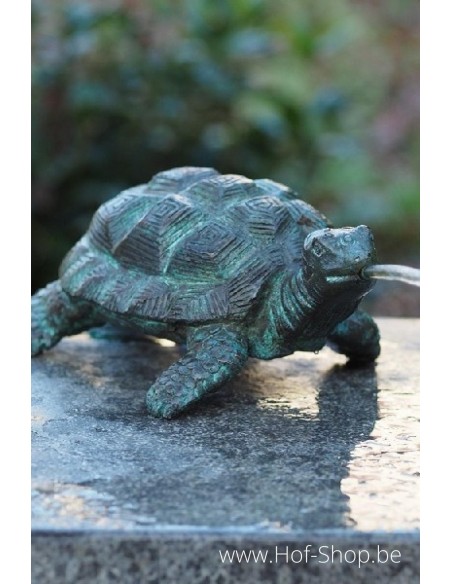 Tortue - statue en bronze (AN1157BR-V-F)
