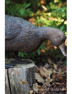 Canard debout - statue en bronze (AN1232BR-B)