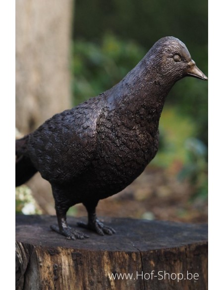 Duif - bronzen beeld (AN1288BR-B-1)