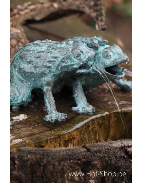 Fontaine 2 grenouilles - statue en bronze (AN13010BR-V-F)