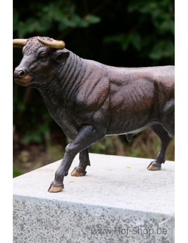 Taureau - statue en bronze (AN1307BR-B)