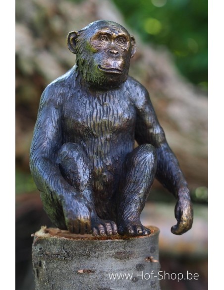 Chimpansee - bronzen beeld (AN1331BR-B)