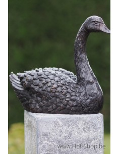 Cygne - statue en bronze (AN1343BR-B)