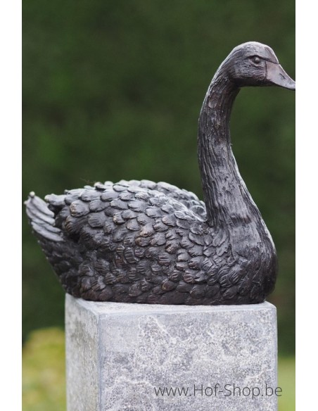 Cygne - statue en bronze (AN1343BR-B)