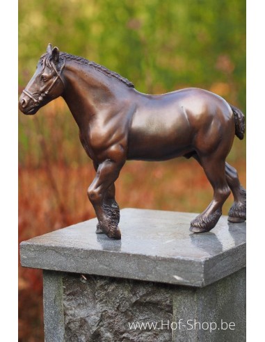 Brabants Trekpaard - bronzen beeld (AN1351BR-B)