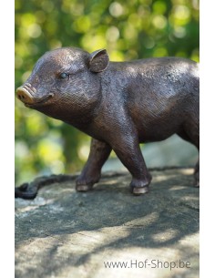 Porcelet - statue en bronze (AN1377BR-B)