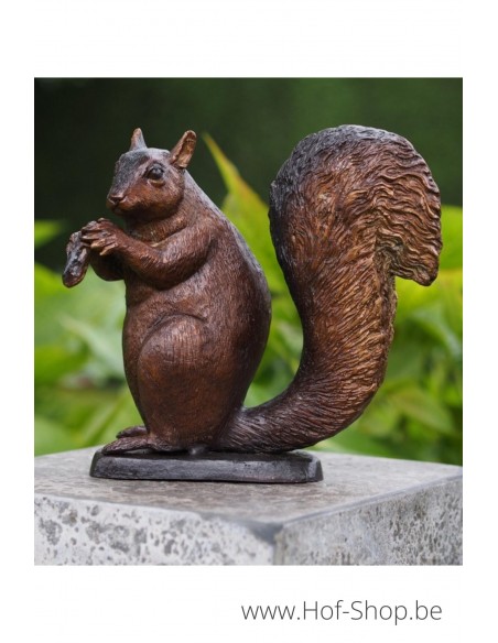Écureuil avec gland - statue en bronze (AN2210BR-B)