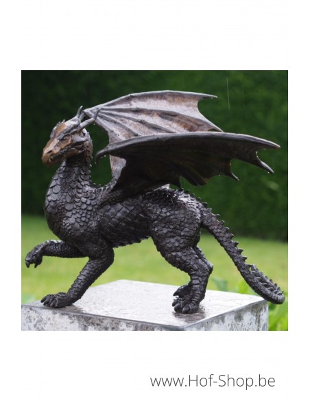 Dragon - statue en bronze (AN2308BR-B)