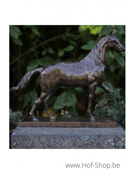 Paard op rechthoekige voet - bronzen beeld (AN2563BRW-HP)