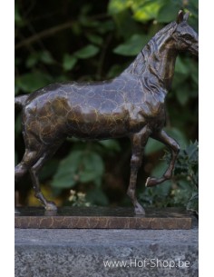 Paard op rechthoekige voet - bronzen beeld (AN2563BRW-HP)