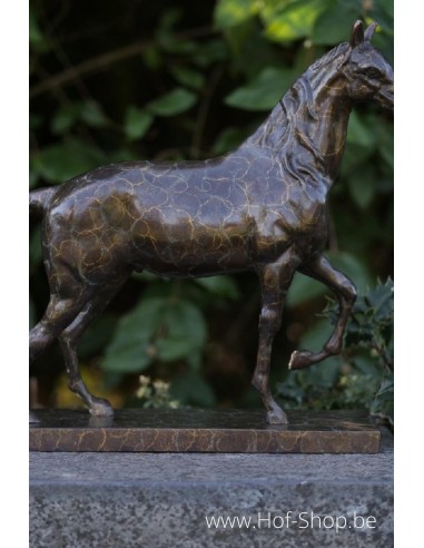 Paard op rechthoekige voet - bronzen beeld (AN2563BRW-HP)
