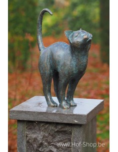 Kat - bronzen beeld (AN2677BR-VI)